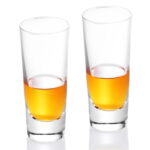 Stemless Shot Glasses Set of 2, 90ml/3oz Clear Espresso
