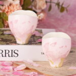 Ceramic Tea Cups 2.9oz Small Cute Vintage Coffee Cup Set of 2