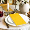 Paper Napkin19 KAMMAK 7KPSP192N dinner napkins shape and proportion detail image 3