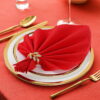 Paper Napkin29 KAMMAK 7KPSP165N dinner napkins shape and proportion detail image 3