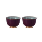Tea Cup Set of 2 Porcelain Small Tea Cups