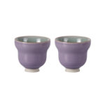 Tea Cup Set of 2 Porcelain Small Tea Cups