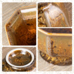 Tall Octagonal Cup Ceramic Tea Cups Set of 2 - Image 4