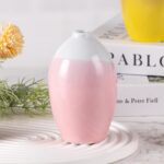 Modern Ceramic Vase, Decorative Flower Vases for Home, Pottery Vases for Living Room, Kitchen, Bedroom, Shelf, Rustic Farmhouse, Bookshelf, Table Décor（ZH012-013）