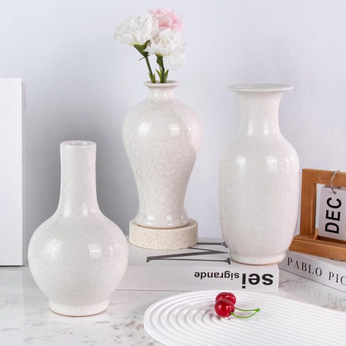 Modern Ceramic Vase, Decorative Flower Vases for Home, Pottery Vases for Living Room, Kitchen, Bedroom, Shelf, Rustic Farmhouse, Bookshelf, Table Décor（DSH14）