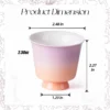 Blush gradient ceramic tea cup dimensions and 2.3 oz capacity KAMMAK 7KPSP707N ceramic cup and saucer side angle view showing silhouette