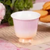 Single pink-peach gradient ceramic tea cup KAMMAK 7KPSP707N ceramic cup and saucer shape and proportion detail image 3