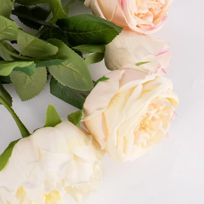 Close view of cream and blush rose petals with leaves KAMMAK 8KPFZH010 home decor product close-up material texture detail image 4