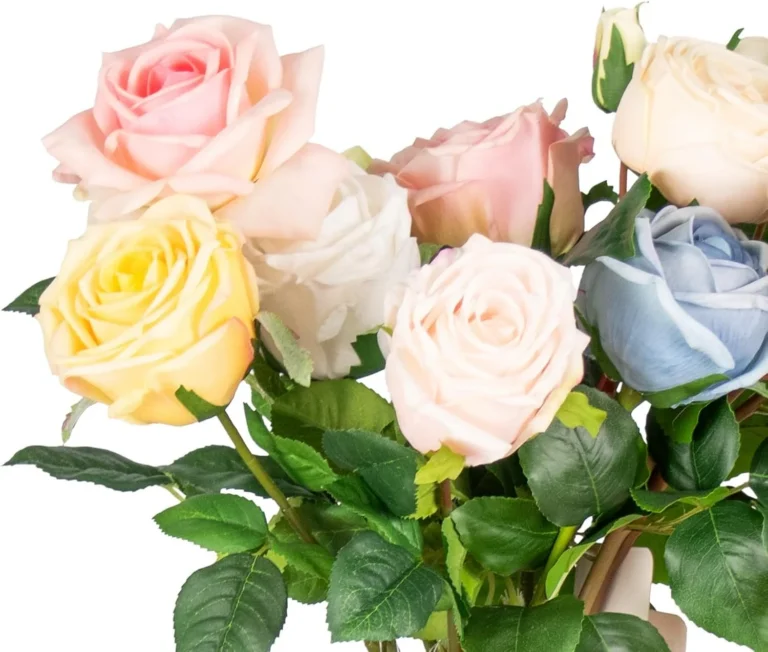 Close view of blush cream yellow green and blue rose heads