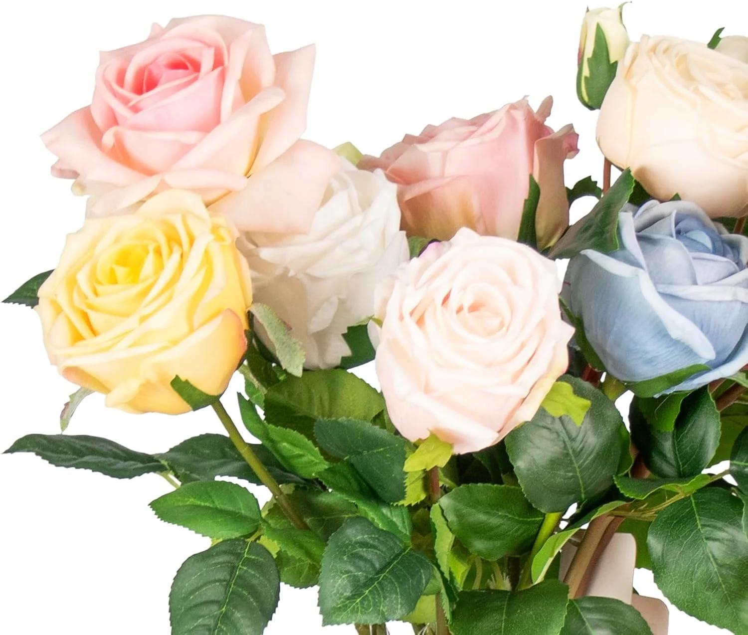 Close view of blush cream yellow green and blue rose heads