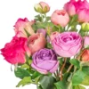 Close-up of coral pink magenta and lavender rose heads KAMMAK 8KPFZH013 home decor product close-up material detail image 4