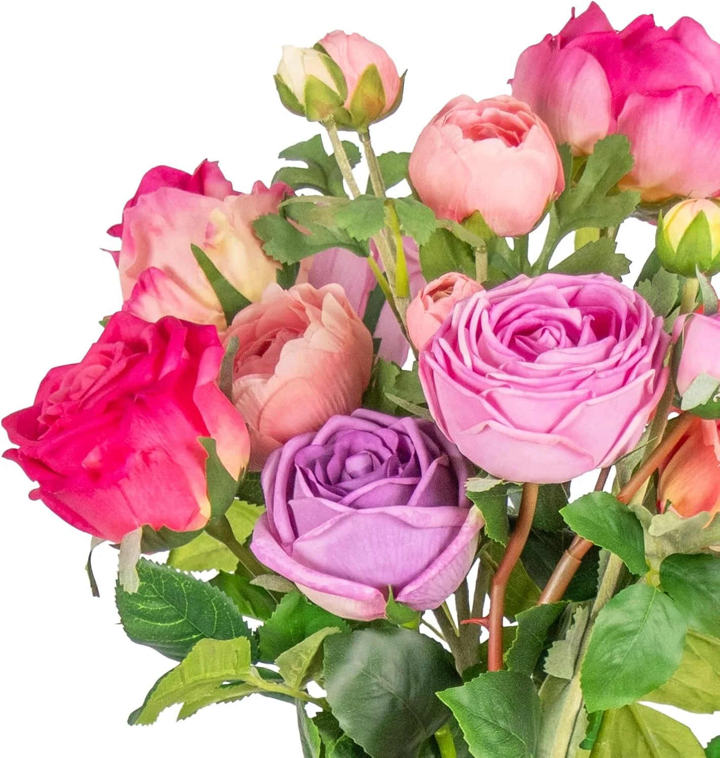 Close-up of coral pink magenta and lavender rose heads