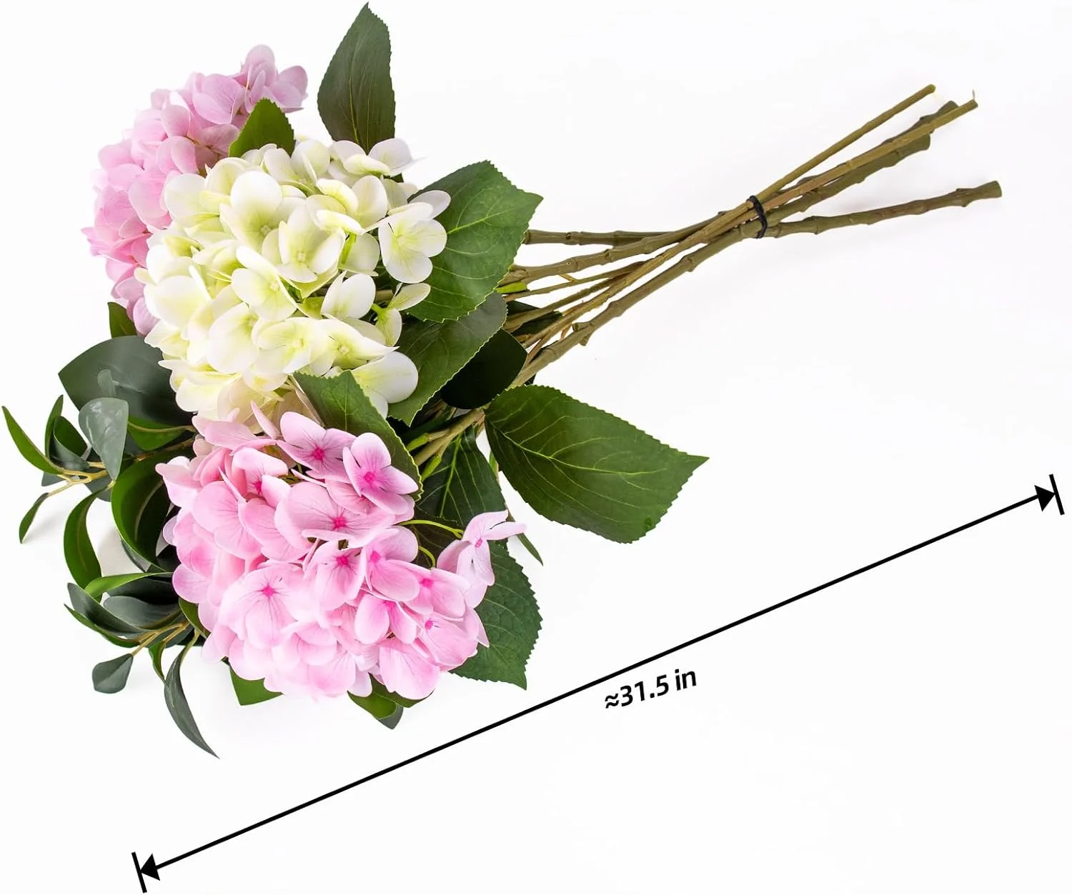 Pink and cream hydrangea stems shown with approximate length