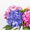 Close view of purple pink and orange hydrangea petals KAMMAK 8KPFZH002 home decor product close-up material texture detail image 4