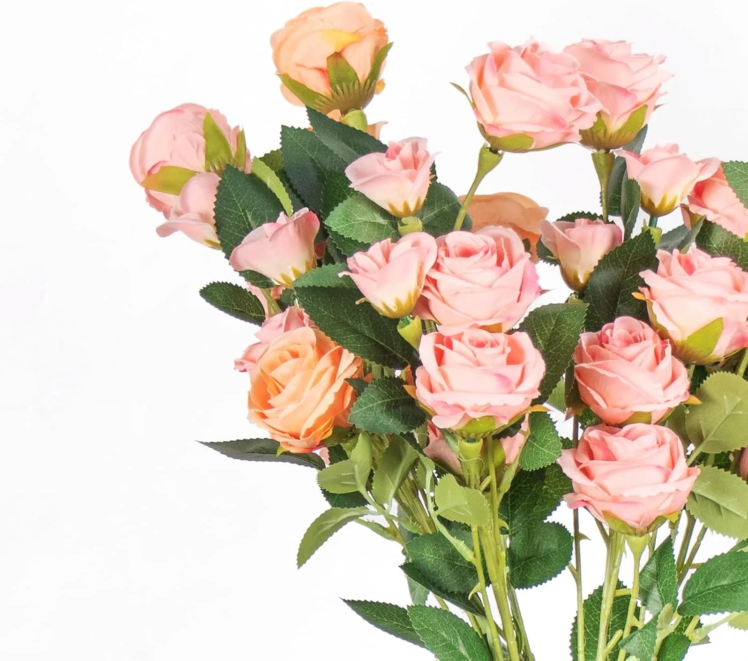 Close view of peach and blush rose heads with textured leaves