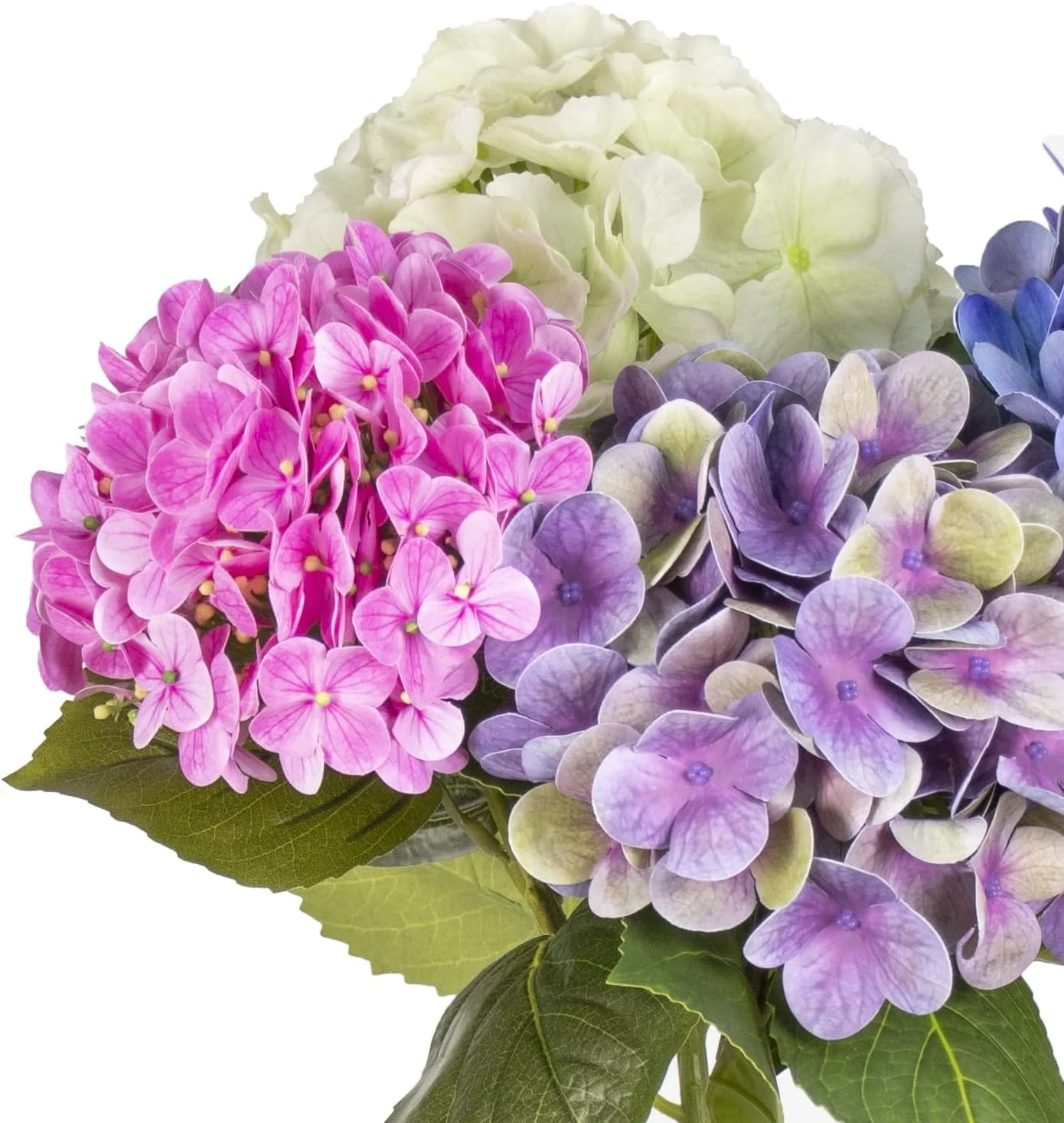 Close view of pink purple blue and pale hydrangea petals