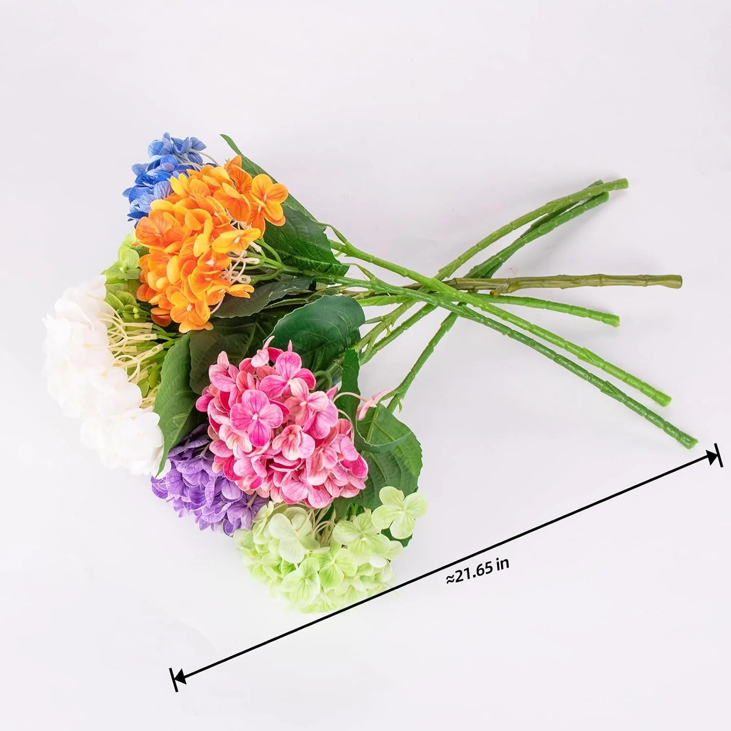 Rainbow hydrangea stems laid flat with approximate length