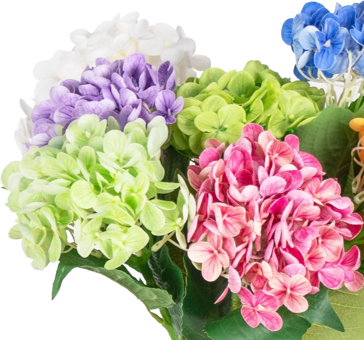 Close-up of blue green pink purple and orange hydrangea petals