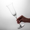 6101mBLXClL._AC_SL1500_.jpg KAMMAK 8KPDY008 champagne flutes decorative craft detail image 7