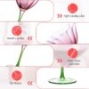 KAMMAK 8KPDSXY003 home decor product shape and proportion detail image 3