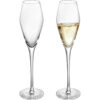 kammak-champagne-flutes-250ml-crystal-glass-set-of-2-clear-sparkling-wine-glass-xh053-main.jpg KAMMAK 8KPXH053 wine glasses front view for product display