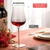 KAMMAK 8KPDY003 wine glasses scale and proportion view image 6